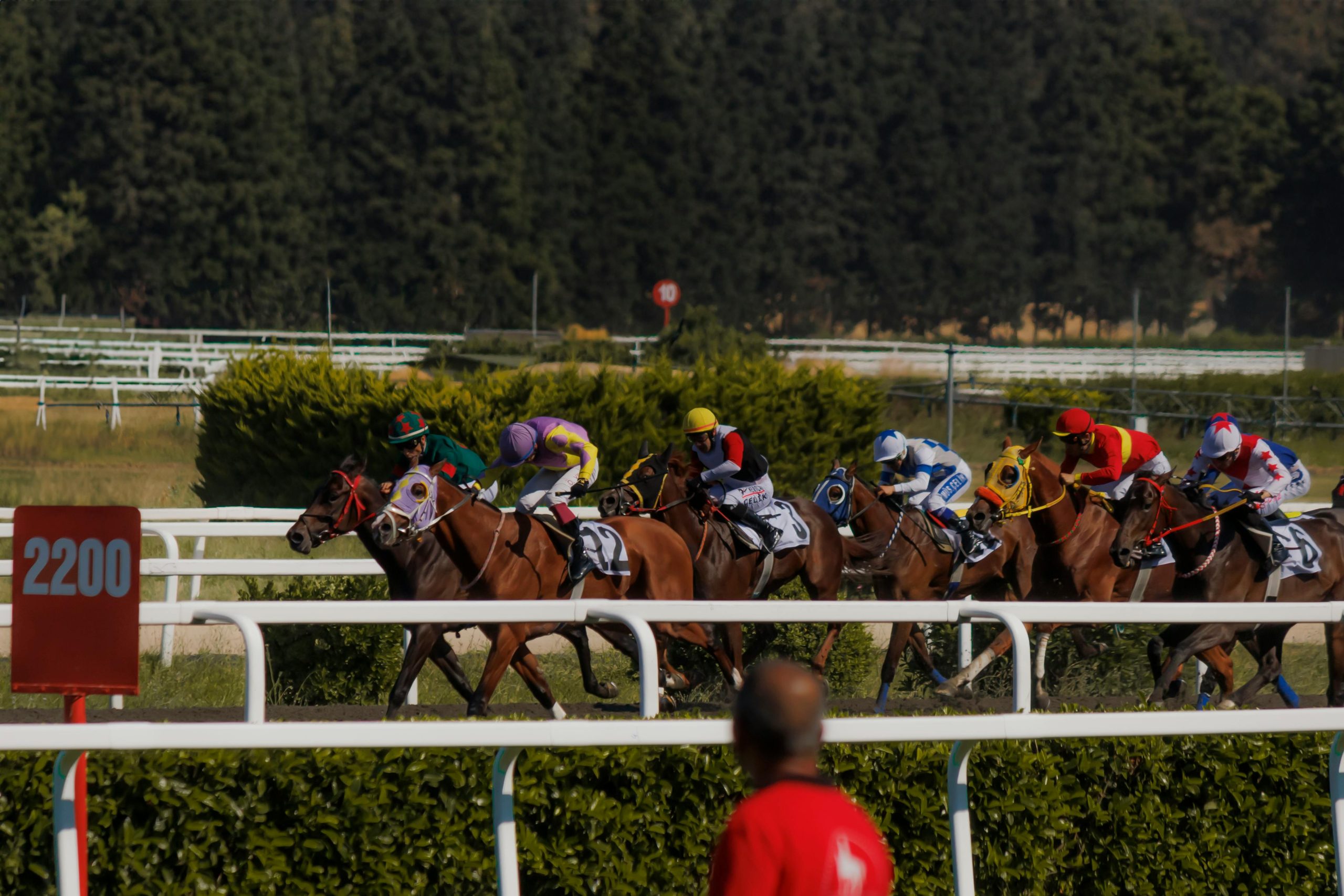 The Hidden Score: Understanding the Surge in Sports Betting Addiction Jockeys racing horses on a sunny day at the track, capturing intense competition and speed.