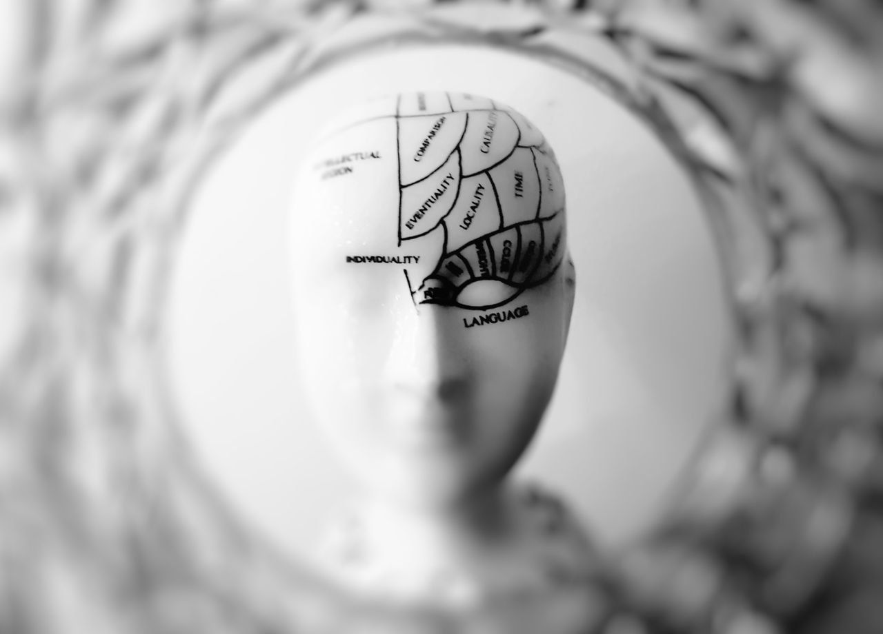 Mental Health Crisis Signs and Finding Therapy Near Me Close-up black and white image of a phrenology head with brain sections labeled.